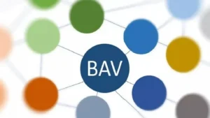 New membership:<br>DI MATTEO Group joins BAV e. V.